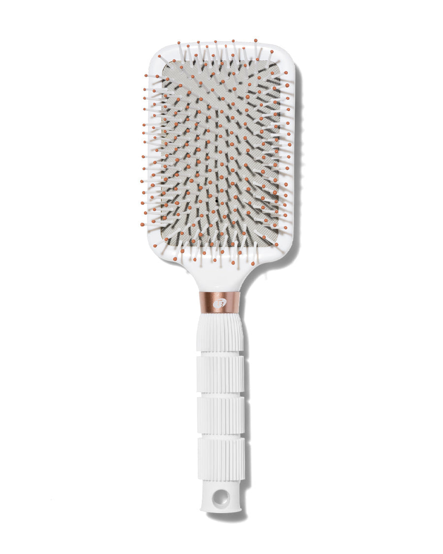 Brushes & Accessories