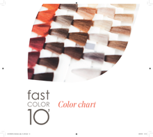 Load image into Gallery viewer, ALTER EGO ITALY - FAST Color 10&#39; - Ten Minute Professional Colour
