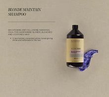 Load image into Gallery viewer, ALTER EGO ITALY - BlondEgo Series - Pure Toner Platinum