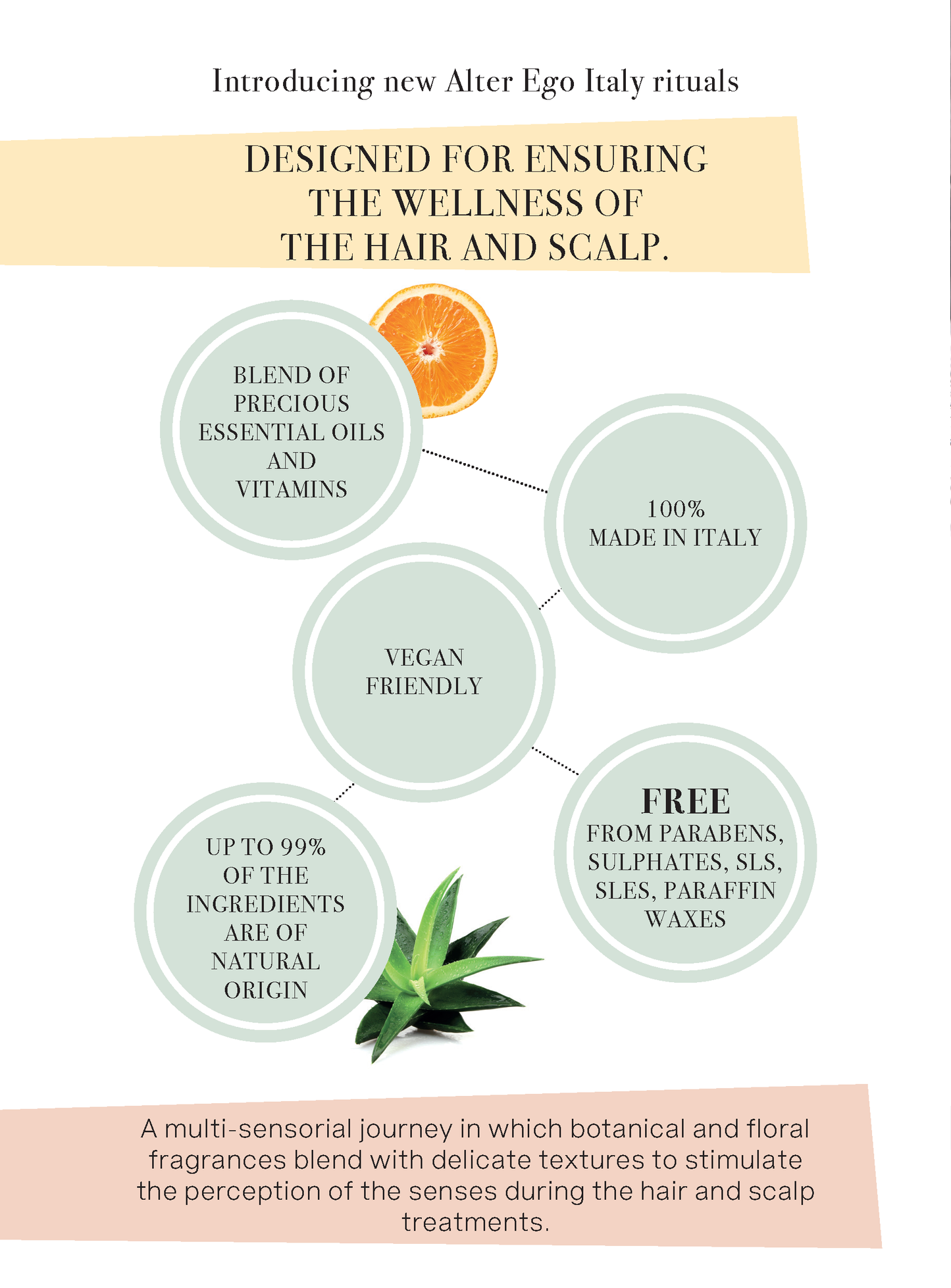 Alter Ego Italy — Master Care Collection - Scalp products and rituals