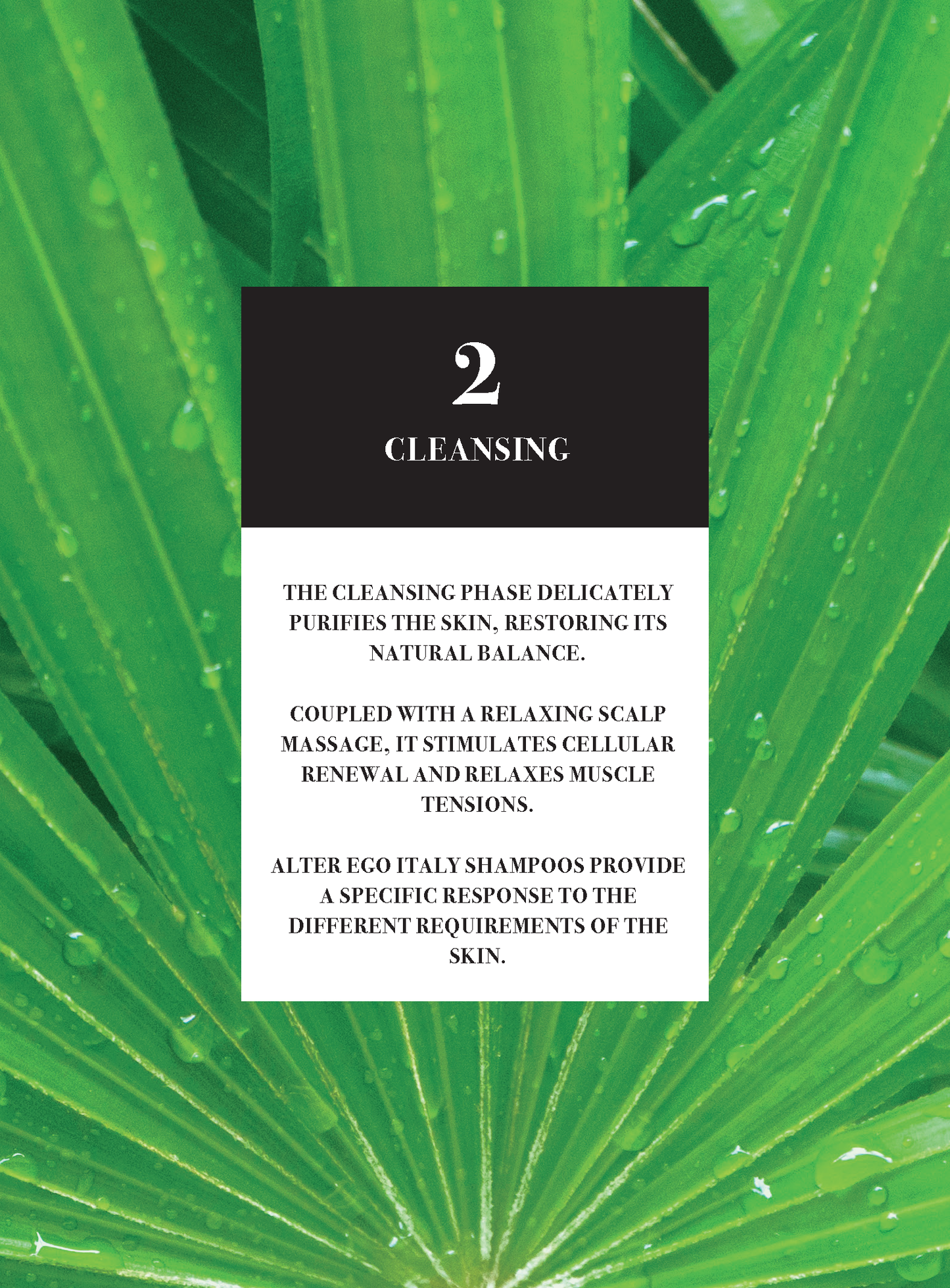 Alter Ego Italy — Master Care Collection - Scalp products and rituals