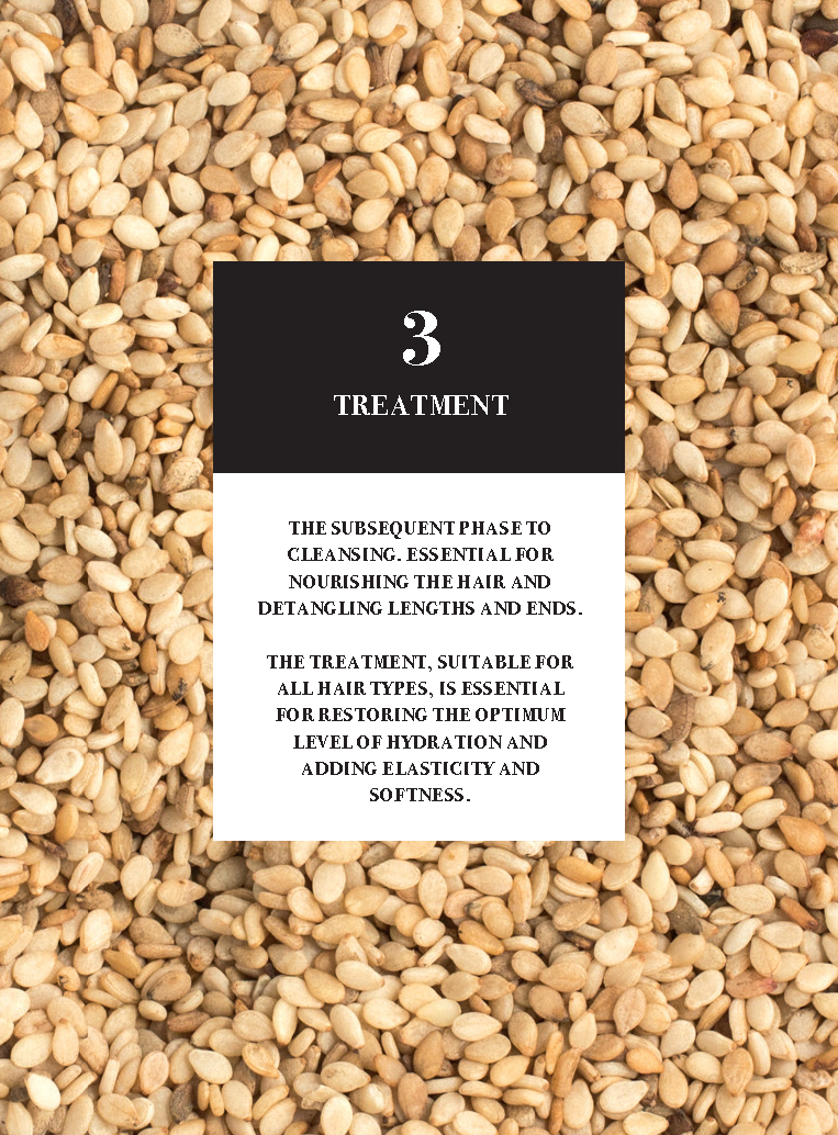 Alter Ego Italy — Master Care Collection - Scalp products and rituals